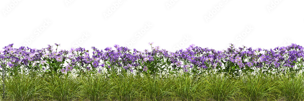 Obraz premium Isolate blossoms flowery row landscaped on transparent backgrounds 3d render png