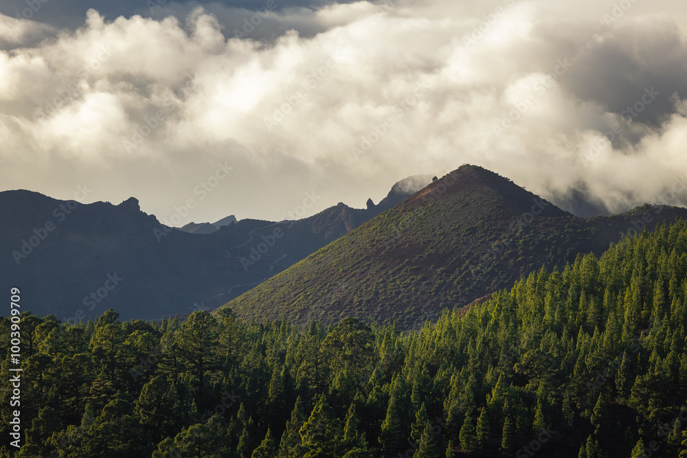 Volcanic landscape of Tenerife island with Teide in the background.