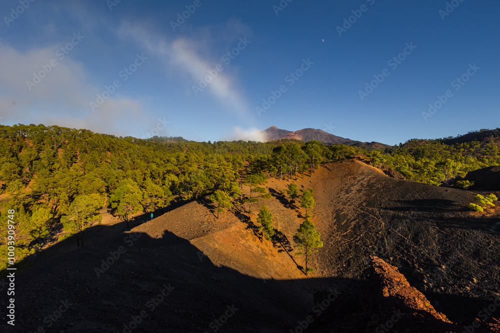 Volcanic landscape of Tenerife island with Teide in the background.