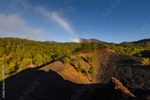 Obraz na płótnie Volcanic landscape of Tenerife island with Teide in the background. w salonie