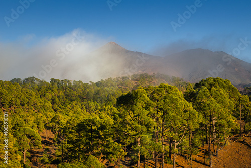Obraz na płótnie Volcanic landscape of Tenerife island with Teide in the background. w salonie