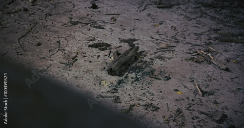 Nighttime riverbank scene showing flood debris photo