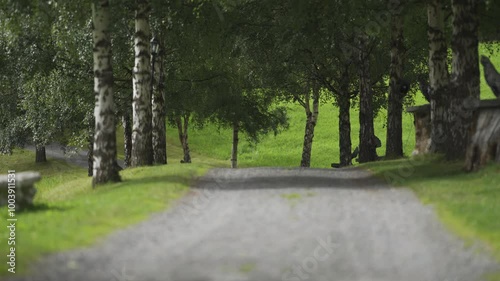 A gravel road between the trees. Animal figurines on the sides of the road. photo