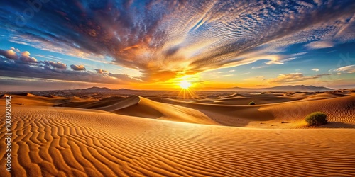 Low angle panoramic desert landscape with shifting dunes during warm sunset photo