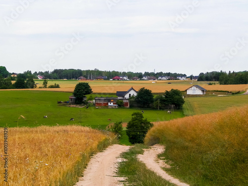 Road over fields in Kashubia. Poland photo