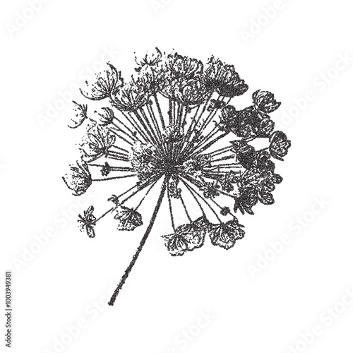 Vector herbarium trendy retro photocopy effect. Modern stipple dots texture for design art. y2k collage wildflower.