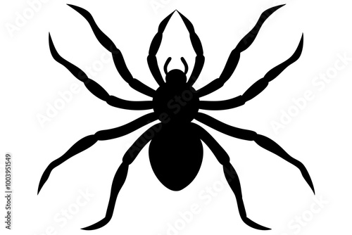  Halloween spider silhouette vector illustration design