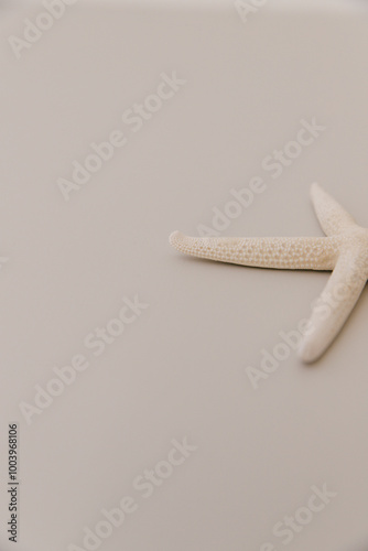 Close up, detail of a beige starfish lying on a light grey table top. photo