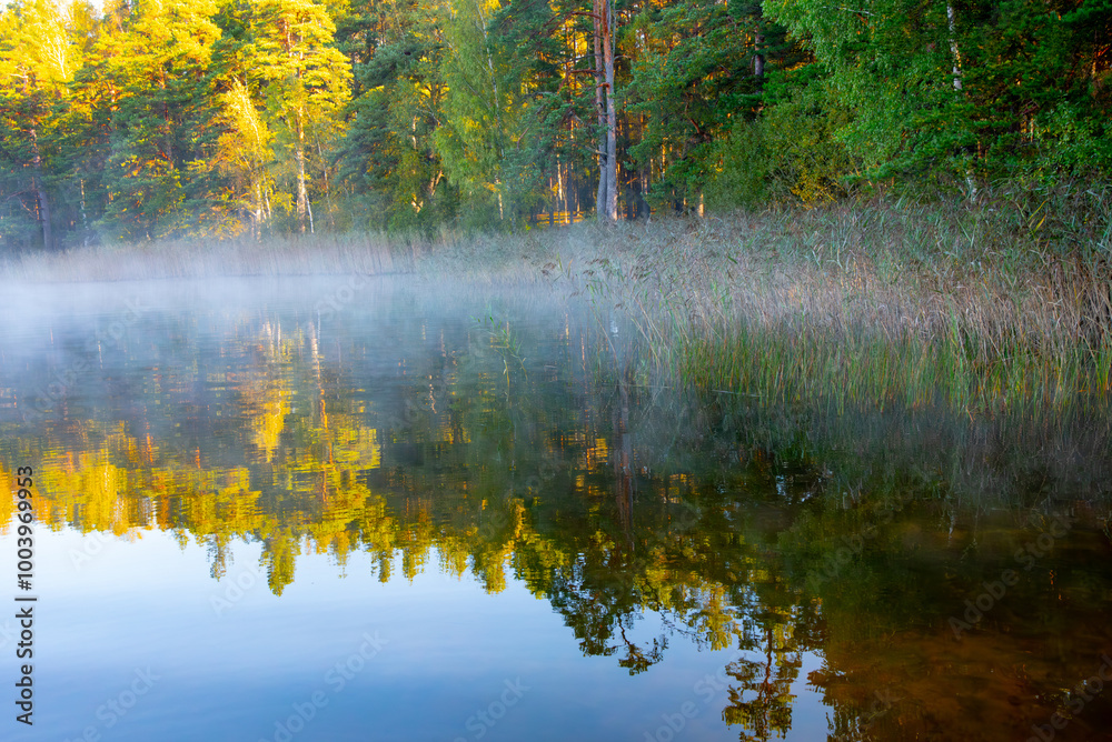 fog on the lake on a sunny autumn morning fog on the lake on a sunny autumn morning