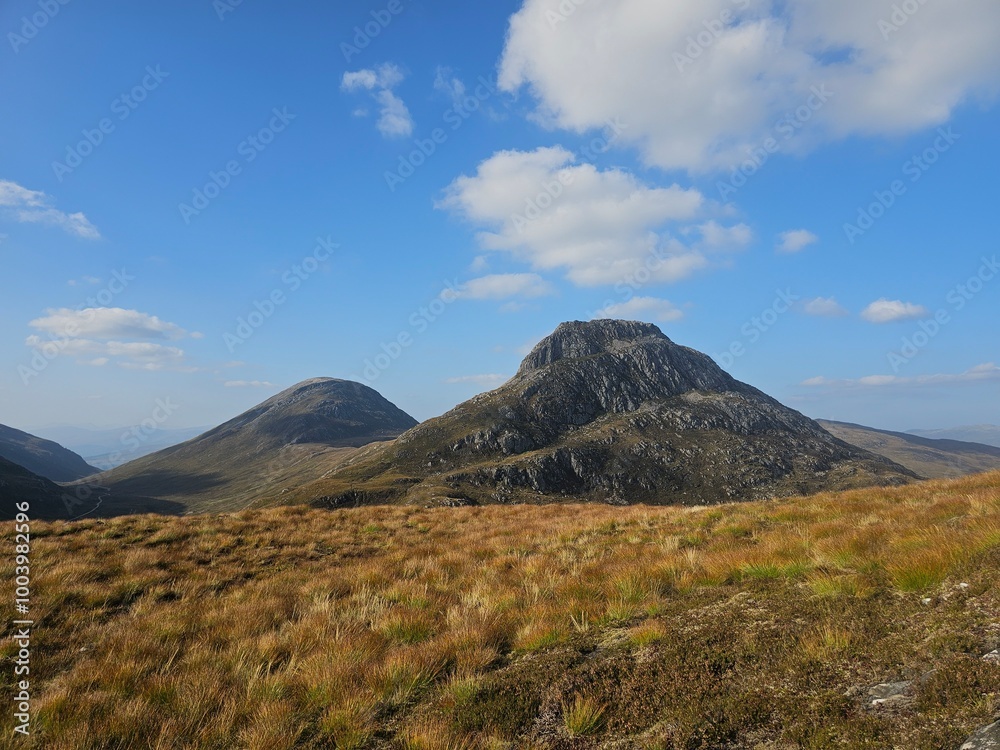 mountains, plants and animals in the Lochaber region of the Scottish highlands mountains, plants and animals in the Lochaber region of the Scottish highlands