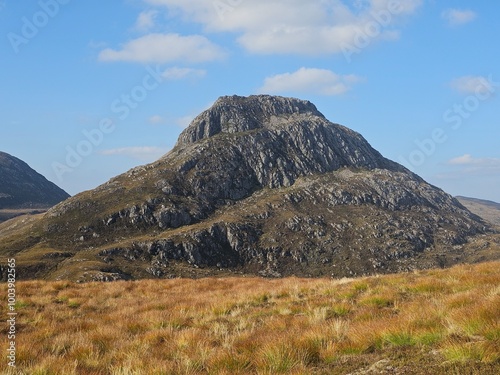 mountains, plants and animals in the Lochaber region of the Scottish highlands photo