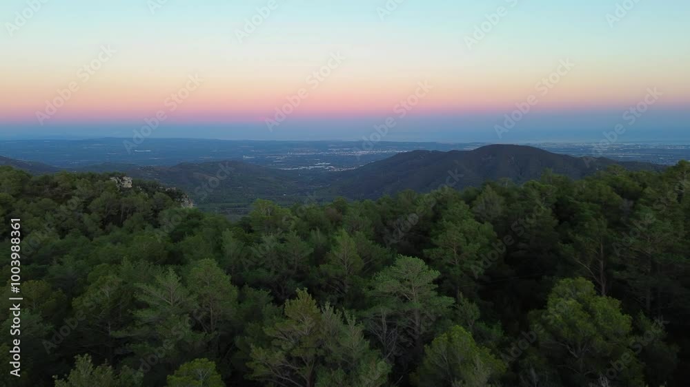 Dense green forest at sunset over la mussara in tarragona spain, aerial view