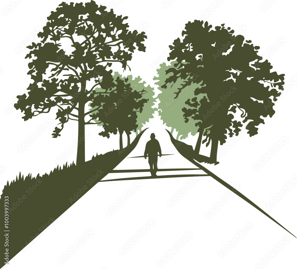 Silhouette of a Person Walking on a Tree-Lined Path Silhouette of a Person Walking on a Tree-Lined Path