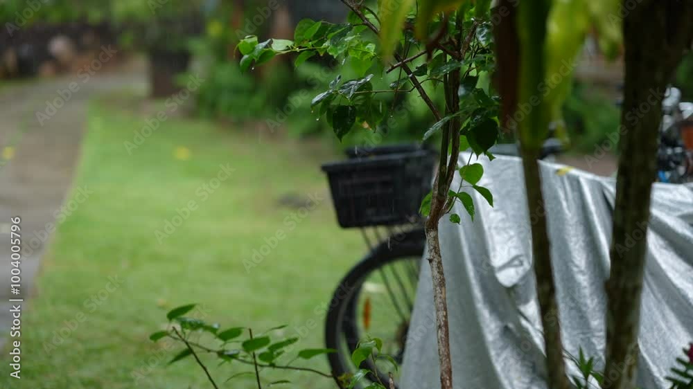 bicycles standing under a tropical downpour covered with a protective cover on the island of La digue Seychelles