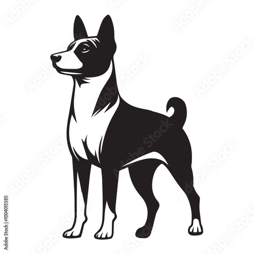 Basenji Dog Standing Vector illustration black and white

