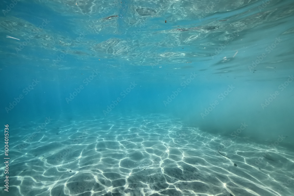 seascape panorama underwater flock of fish in the water