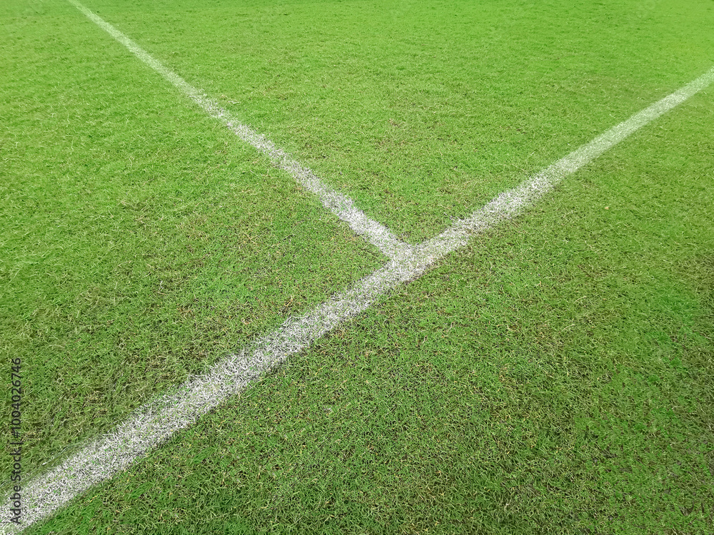 Soccer line in green grass of soccer field Soccer line in green grass of soccer field