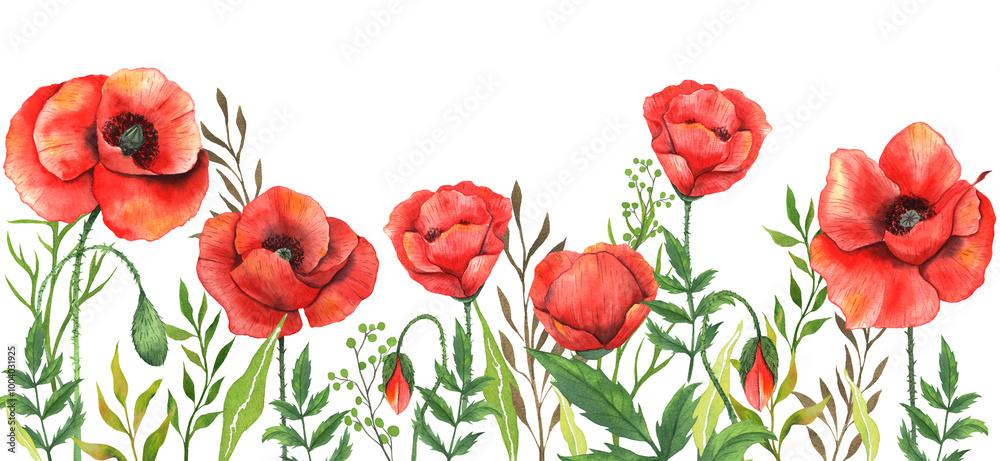 Fototapeta premium Poppy Watercolor Illustration. Green Leaves and Flowers Aquarelle Trendy graphics. Greenery Branches and Blooming Wildflowers. Red Poppy bouquets for luxury wedding invitations, cards, labels.
