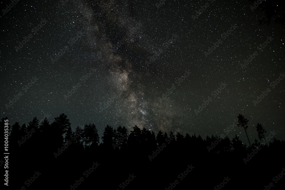 Fototapeta premium Milky Way Galaxy over the forest. Starry night background.