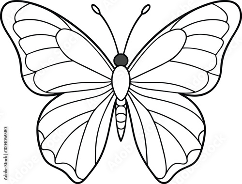 silhouette big butterfly line art style on white background.