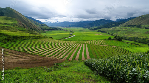 Fertile valleys with alternating crops of different colors