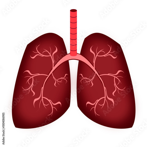 Wallpaper Mural Poumons Torontodigital.ca