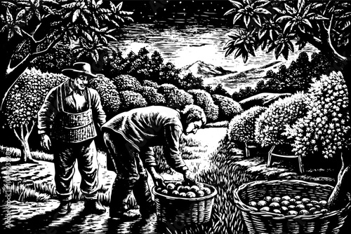 Vintage Apple Harvest at Night in Woodcut Style