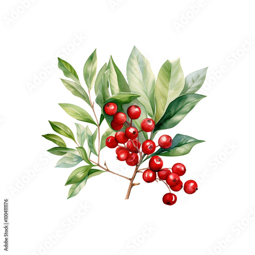 Plant Clipart Vector Illustration