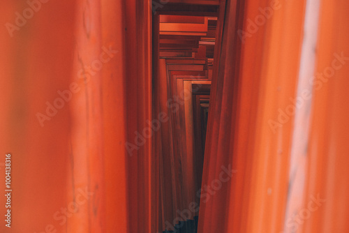 鳥居と鳥居の間の光景