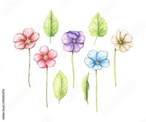 Wallpaper Mural Set with variety of colorful flowers and leaves isolated on white background. Watercolor hand drawn illustration Torontodigital.ca