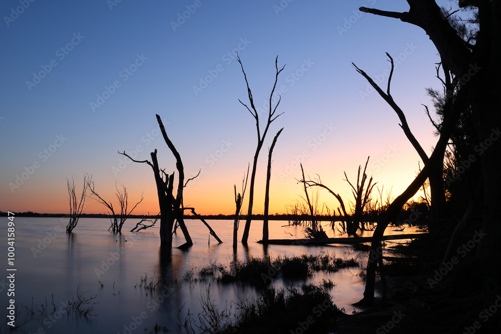 Silhouette of dead trees in still, flat water. Mix between golden and blue hour. Lake Yealering, ephemeral salt lake in the Wheatbelt region of Western Australia Silhouette of dead trees in still, flat water. Mix between golden and blue hour. Lake Yealering, ephemeral salt lake in the Wheatbelt region of Western Australia