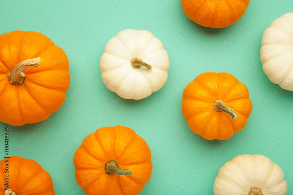 Mini orange and white pumpkins on mint background. Mini orange and white pumpkins on mint background.