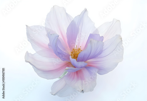 delicate flower with soft pastel colors and intricate petals, exuding tranquility
