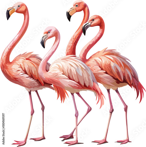 Set of gracefully standing elegant pink flamingos, cut out,vector,illustration, image.