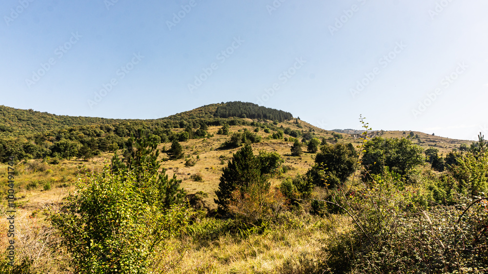 Beautiful forest in the north of Spain Beautiful forest in the north of Spain