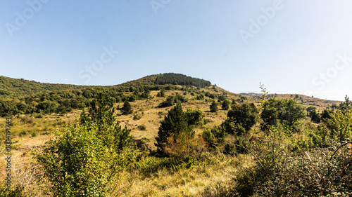Beautiful forest in the north of Spain