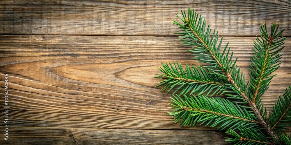 Christmas tree branch on rustic wooden surface