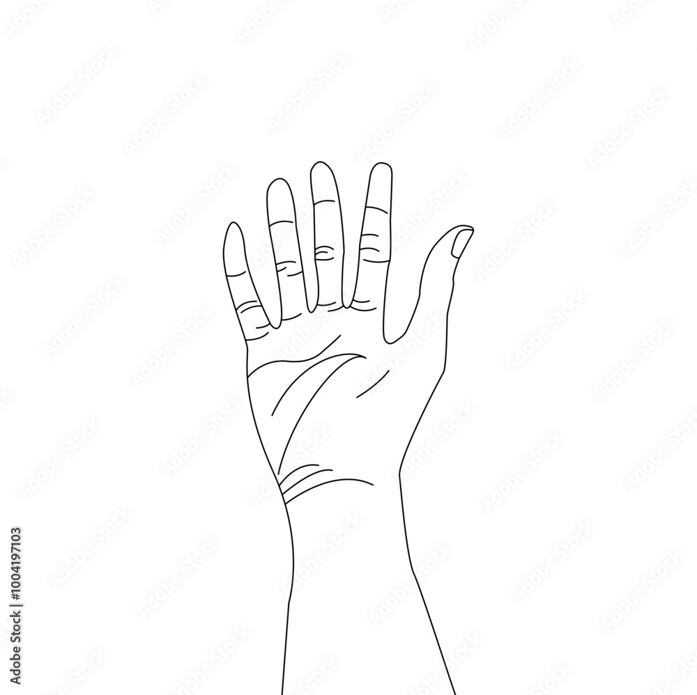 Human palm icon design, hand vector with different hand lines, palm vector Human palm icon design, hand vector with different hand lines, palm vector
