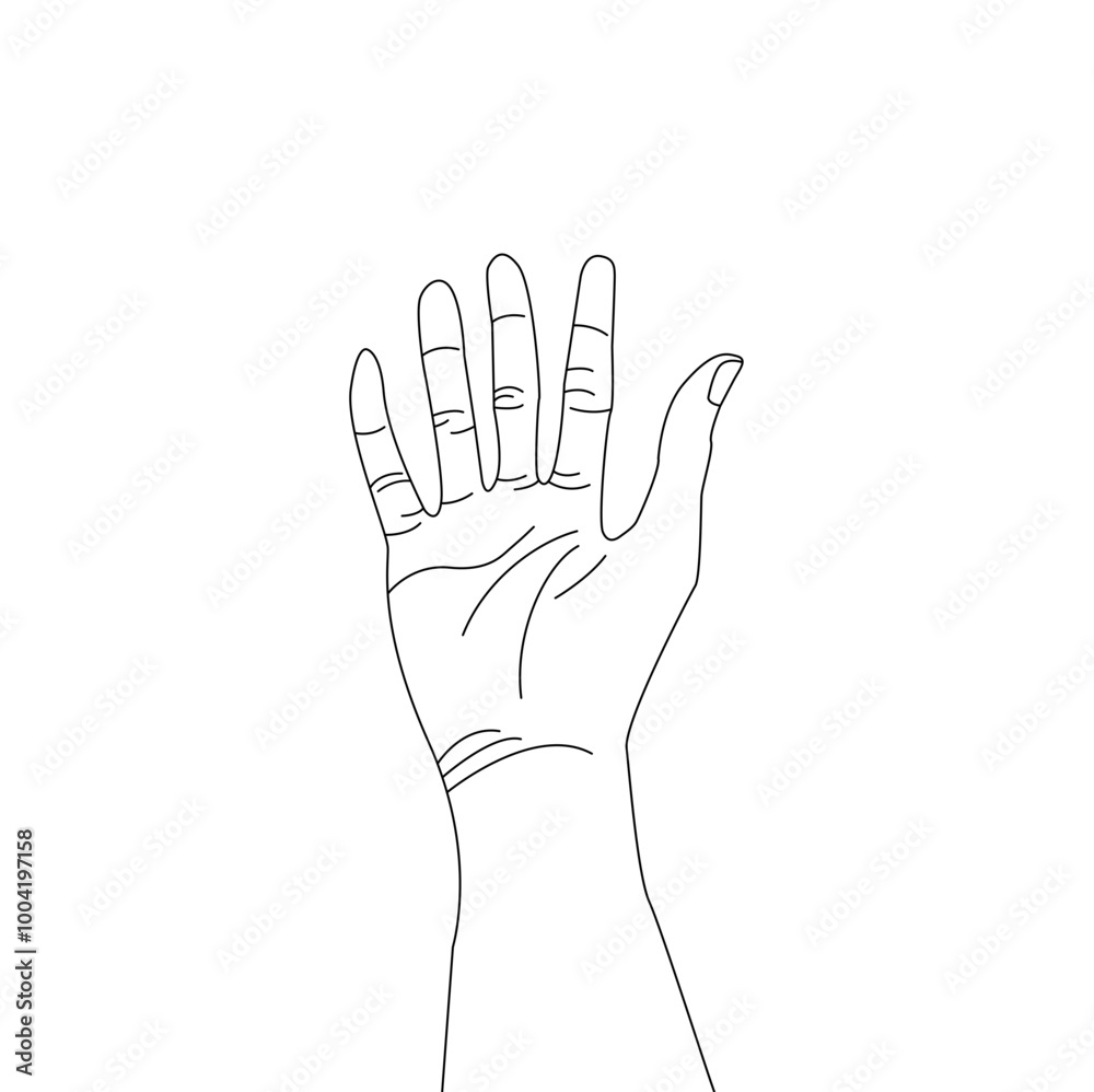 Human palm icon design, hand vector with different hand lines, palm vector Human palm icon design, hand vector with different hand lines, palm vector