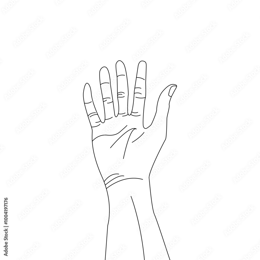 Human palm icon design, hand vector with different hand lines, palm vector Human palm icon design, hand vector with different hand lines, palm vector