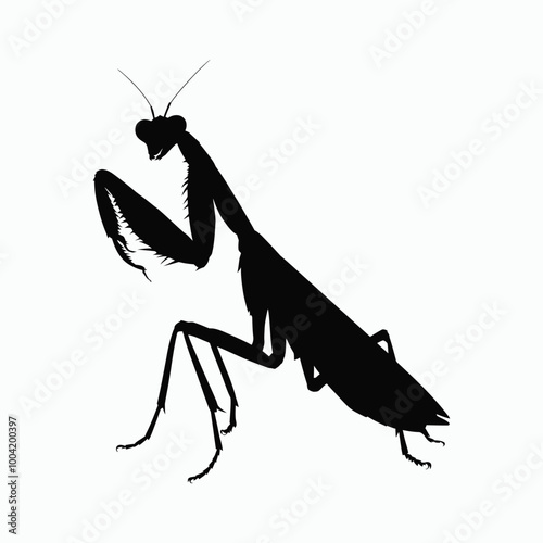 Mantis silhoutte vector white backgound 