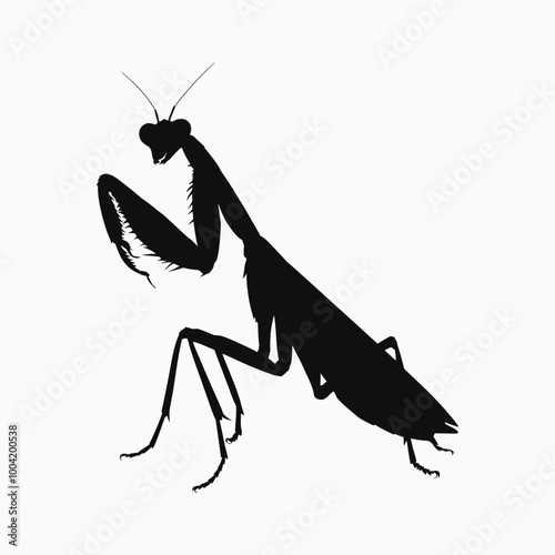 Mantis silhoutte vector white backgound 