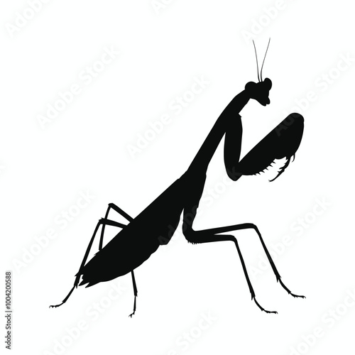 Mantis silhoutte vector white backgound 