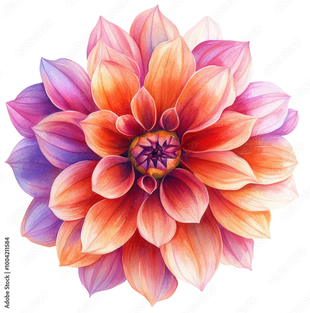 A watercolor painting of a flower with a pink center and purple and orange petals. The flower is the main focus of the painting and it is a daisy. The colors used in the painting are vibrant