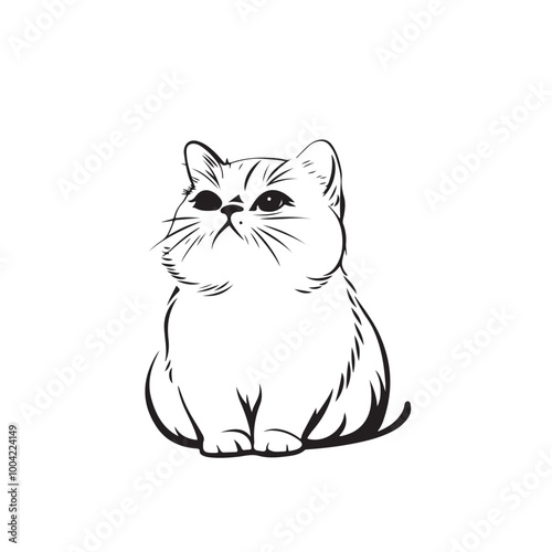 Exotic shorthair Cat  Vector Image isolated on white background.