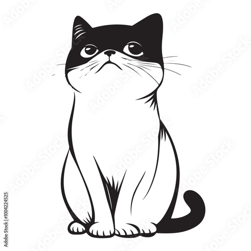 Exotic shorthair Cat  Vector Image isolated on white background.
