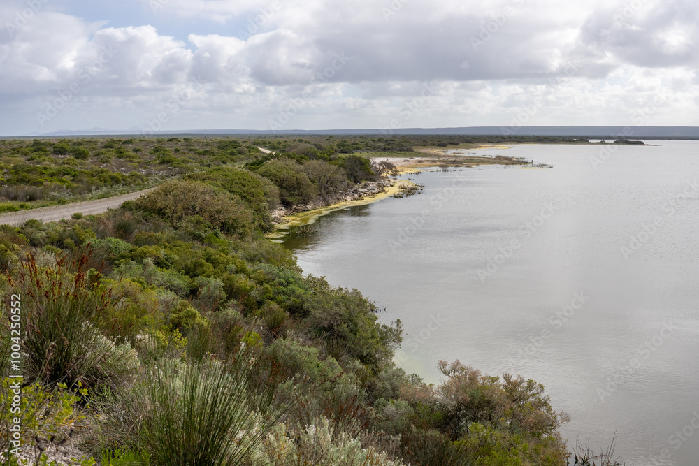 Obraz premium De Hoop Nature Reserve, Western Cape Province of South Africa