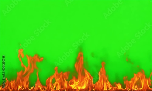 Flickering fire flames contrast beautifully against a bright green screen, perfect for adding visual effects to creative designs