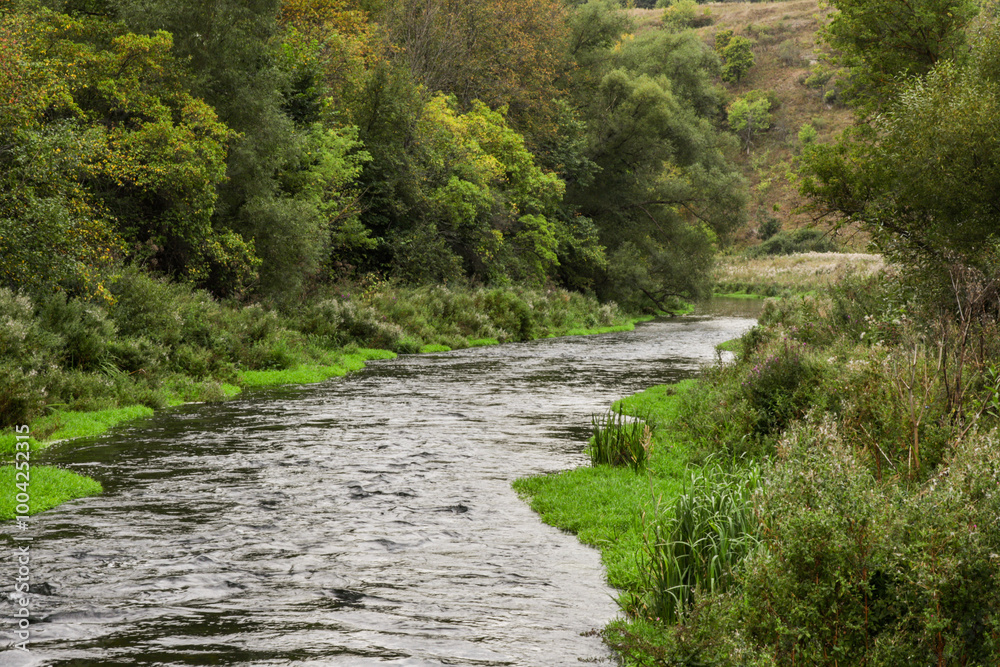A river with trees on both sides A river with trees on both sides