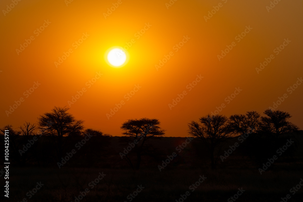 Sunset at Kgalagadi Transfrontier Park, South Africa Sunset at Kgalagadi Transfrontier Park, South Africa
